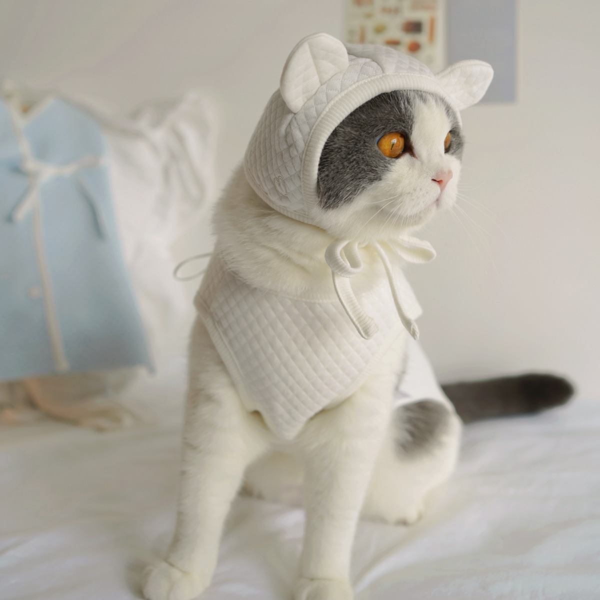 テディベア 茶ベスト テディベアキャップ付きワッフルベスト | neufy