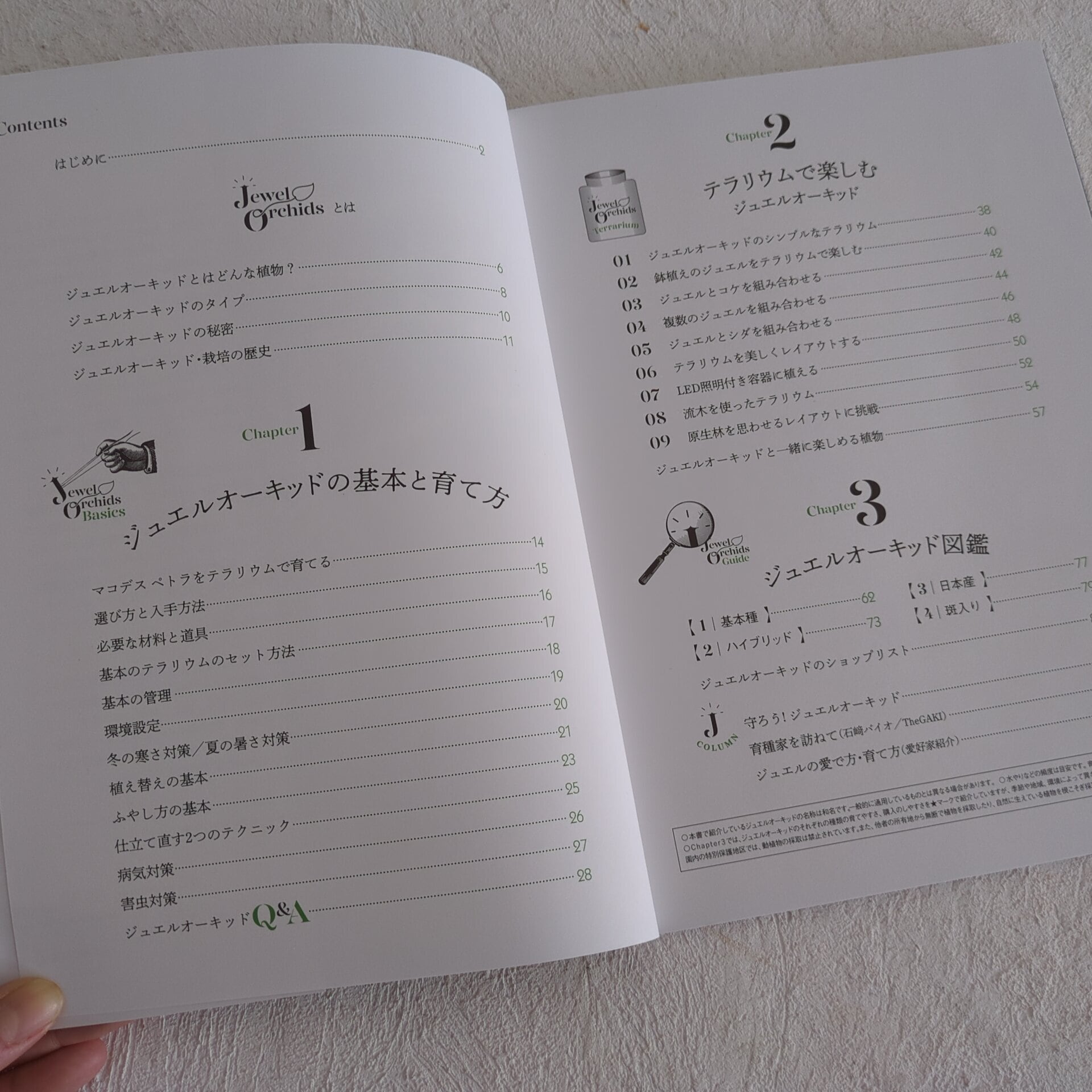 書籍「ジュエルオーキッドー部屋で育てる森の宝石」◇ジュエル
