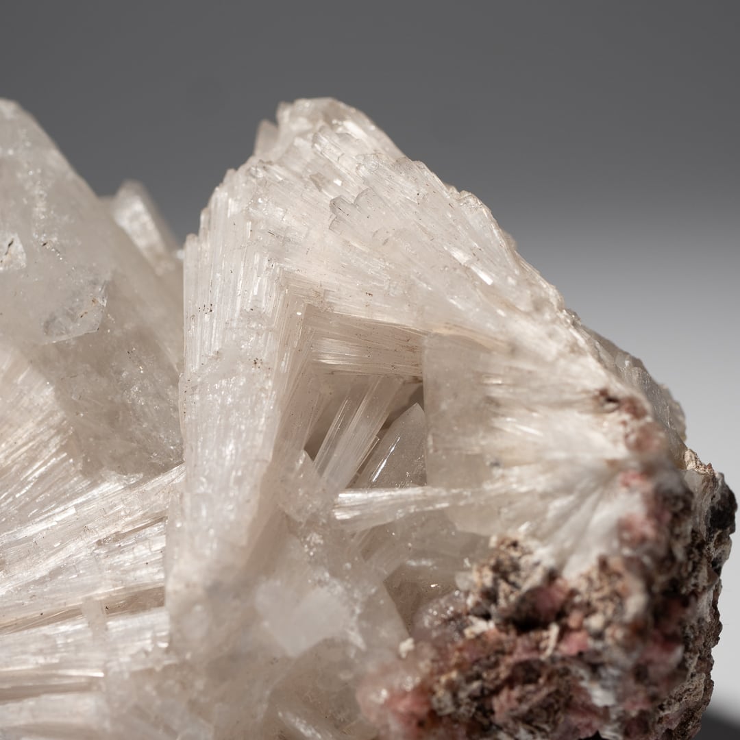 エジリン輝石 エジリン輝石 ナトロライト 41 共生 鉱物 標本 原石