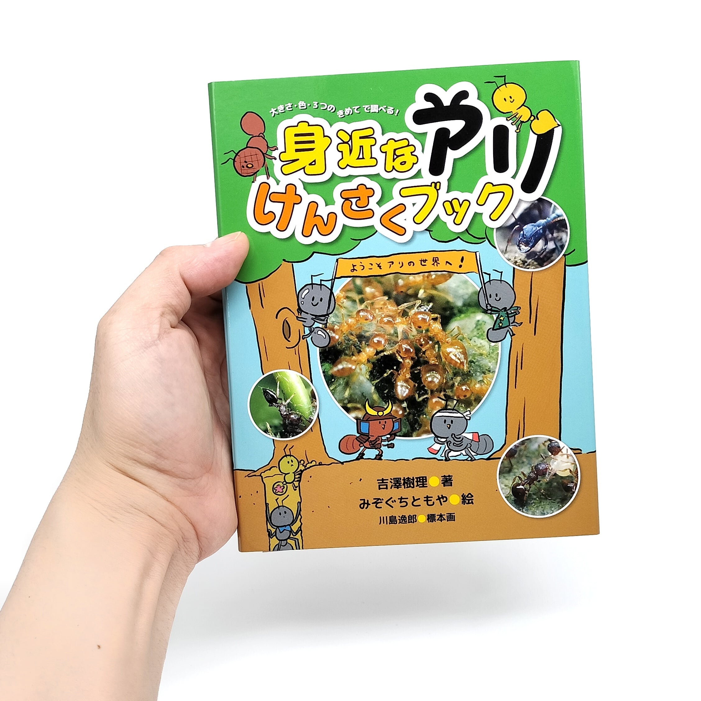 身近なアリけんさくブック | あり巣 in underground（蟻の総合店,飼育
