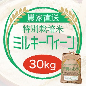 農家直売・特別栽培米 ミルキークイーン 玄米30kgまたは白米27kg〈1週間以内で発送〉