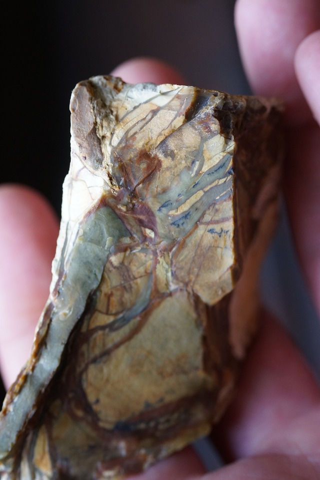 ブルーマウンテン・ジャスパー ラフロック Jasper  1