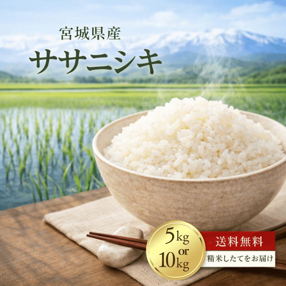 送料無料!令和7年産 宮城県産ササニシキ 白米 5kg or 10kg お米 宮城 美味しい おいしいお米 おこめ 10キロ 精米 国産米