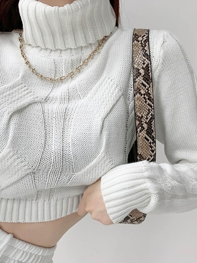 turtleneck cropped cable knit