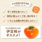 【2025年産】【10月下旬発送】伊豆柿 L 24玉（5ｋｇ）