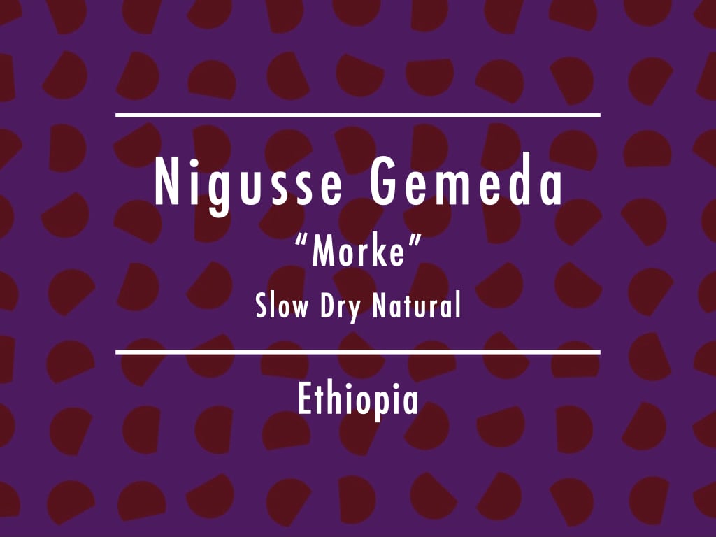 【お得!500g】エチオピア / Nigusse Gemeda "Morke" Slow Dry Natural