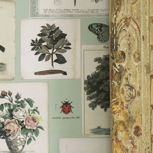 OUTLET PJD6001/02 John Derian　輸入壁紙　