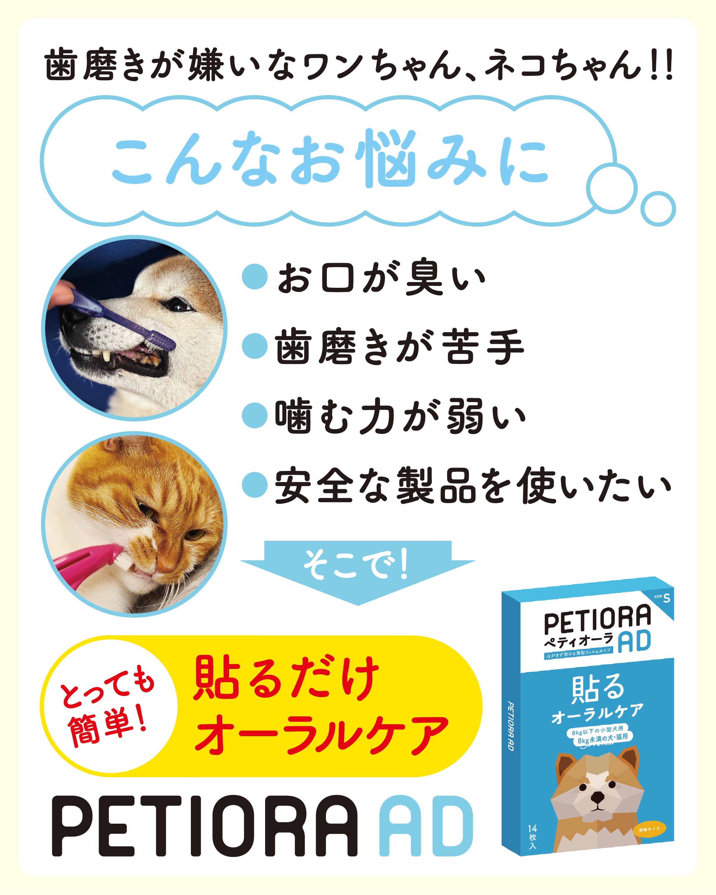 専用出品　日用品（オーラルケア） 専用出品 日用品（オーラルケア）