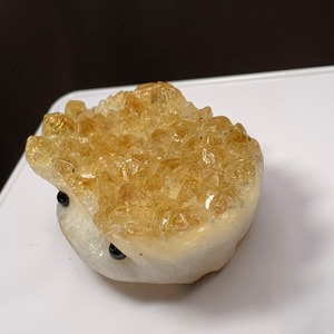 4.シトリンクラスター・ハリネズミ