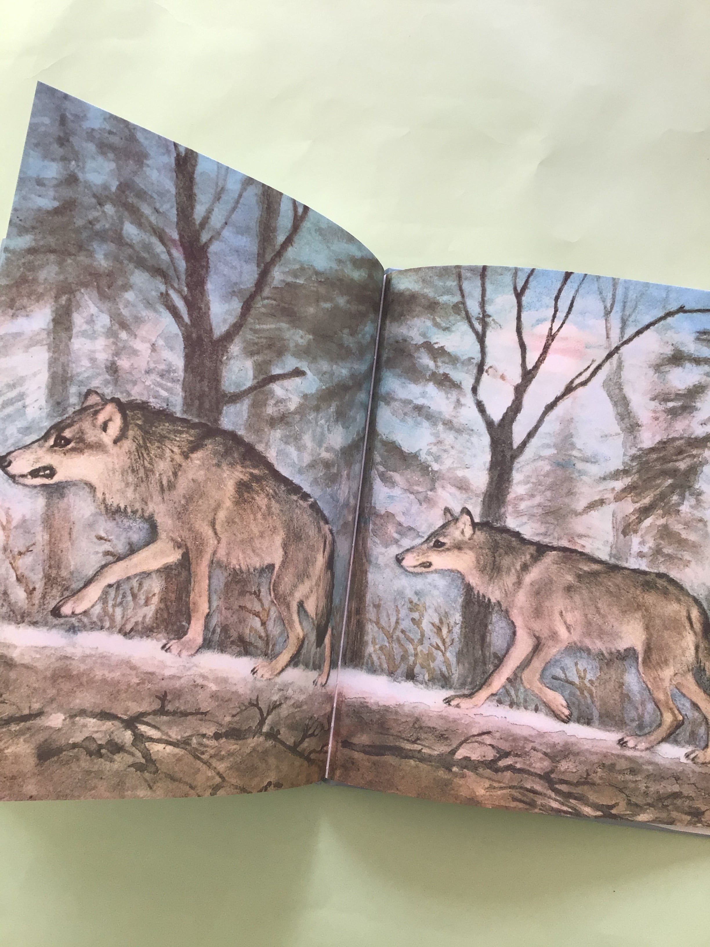 公式通販 原画『苔むした戦士マール』（犬、マルチーズ） 原画『苔むし