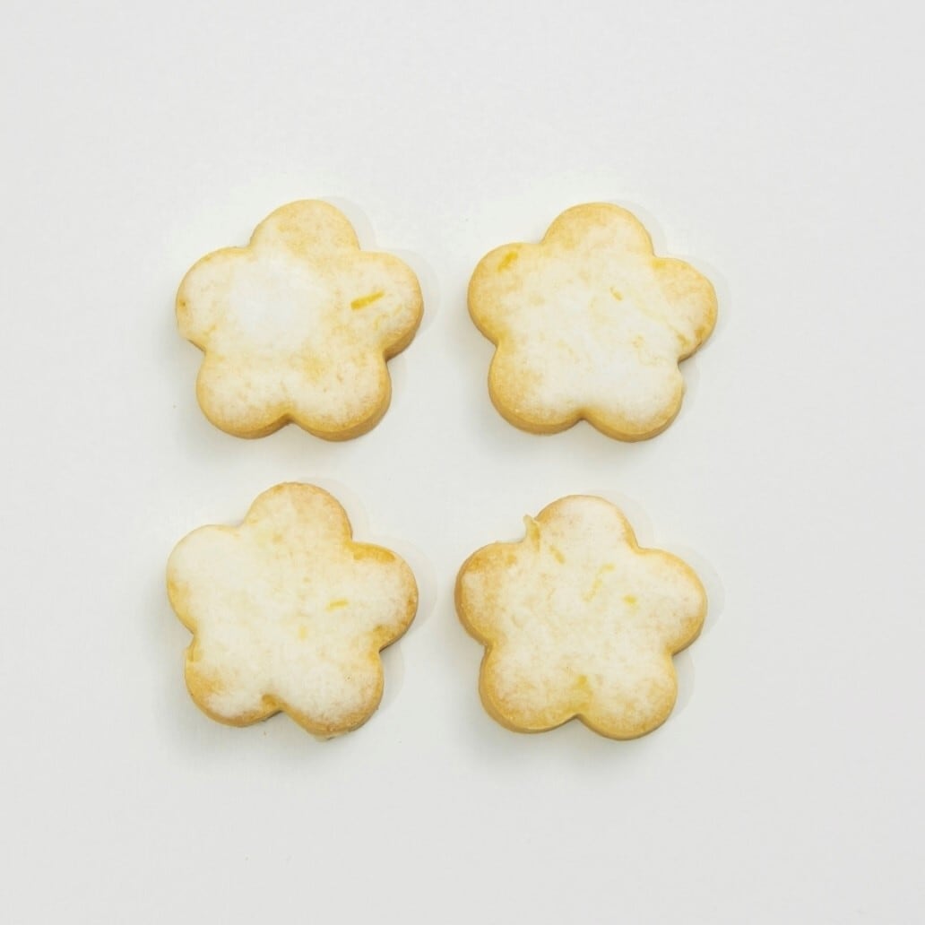 クッキーーページ ご自宅用 レモンクッキーの詰め合わせ Lサイズ | 宮島 【喫茶 しま】