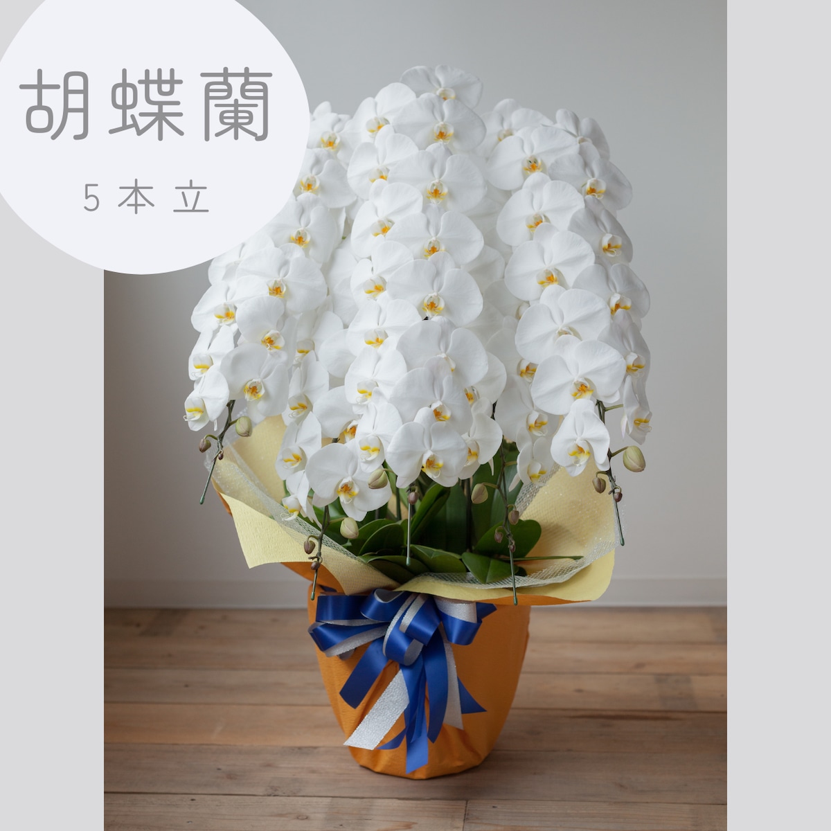 造花・胡蝶蘭5本立 胡蝶蘭5本立 | 花屋kkotkkot ONLINE SHOP