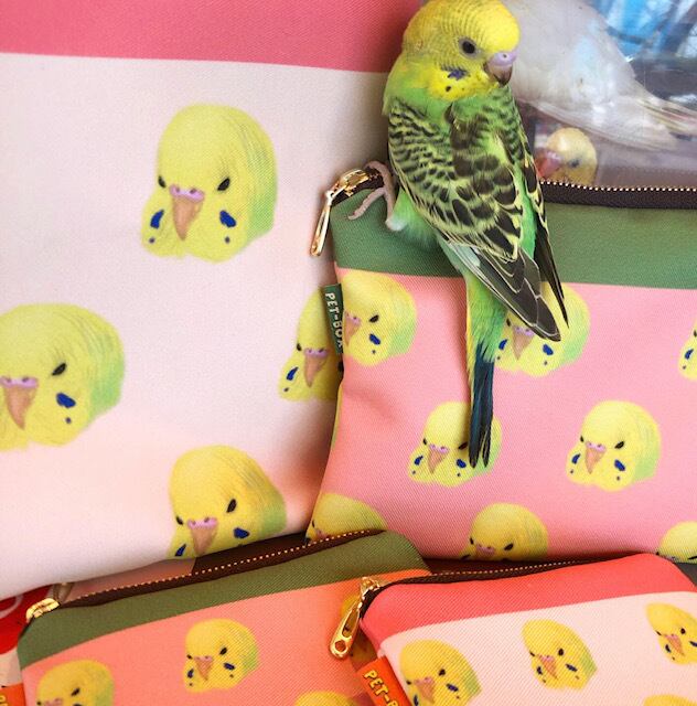セキセイインコ ノーマル ポーチ L | petbox1976