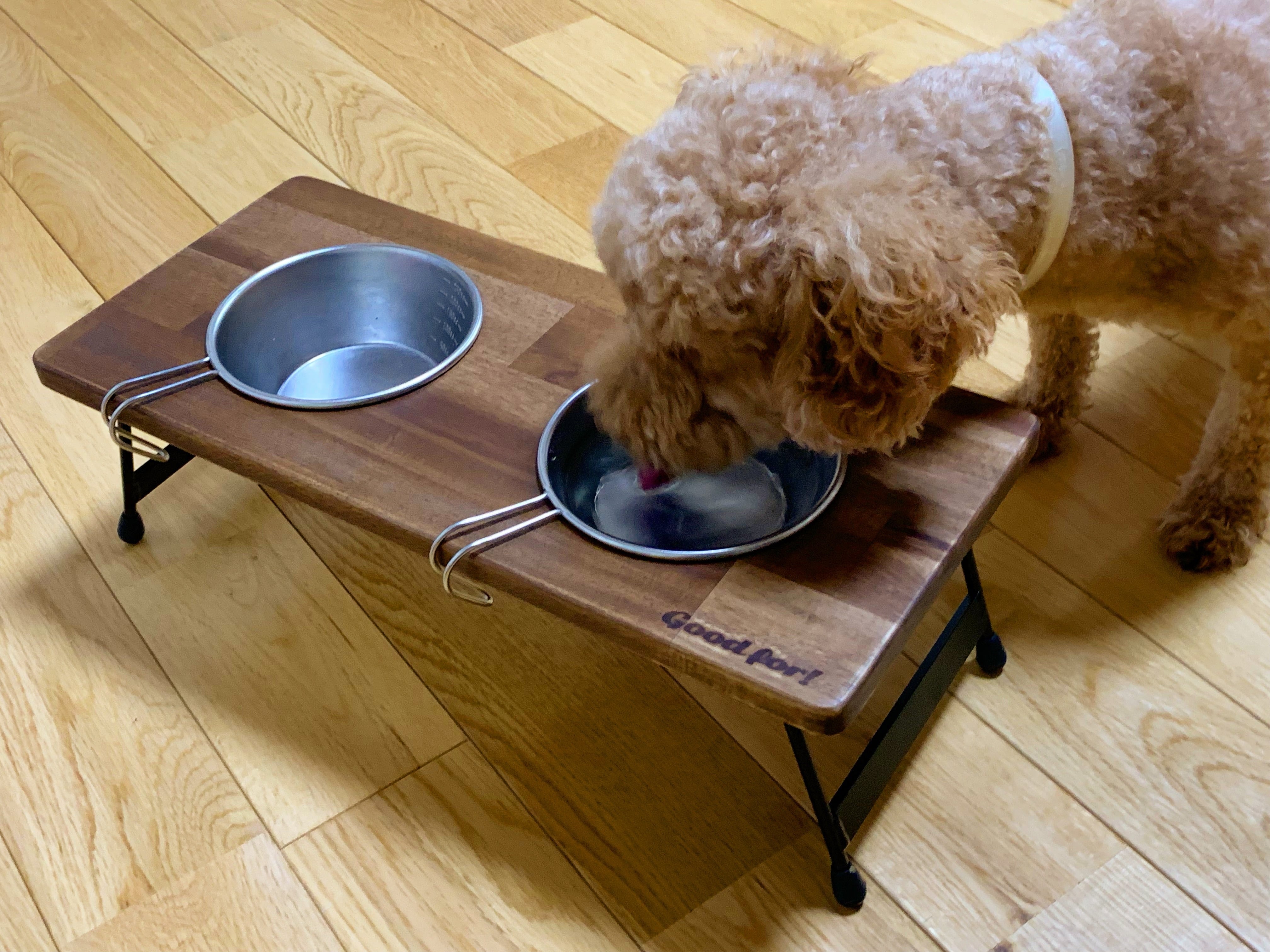 GFフードテーブル M（犬 ドッグ） | Good for