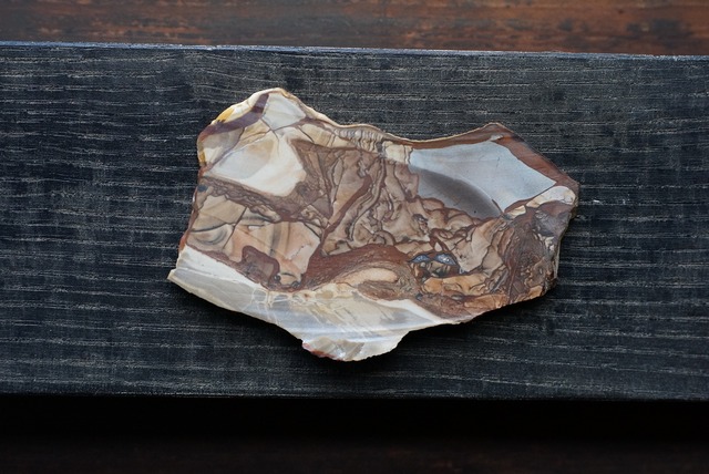 ビッグスジャスパー　Jasper