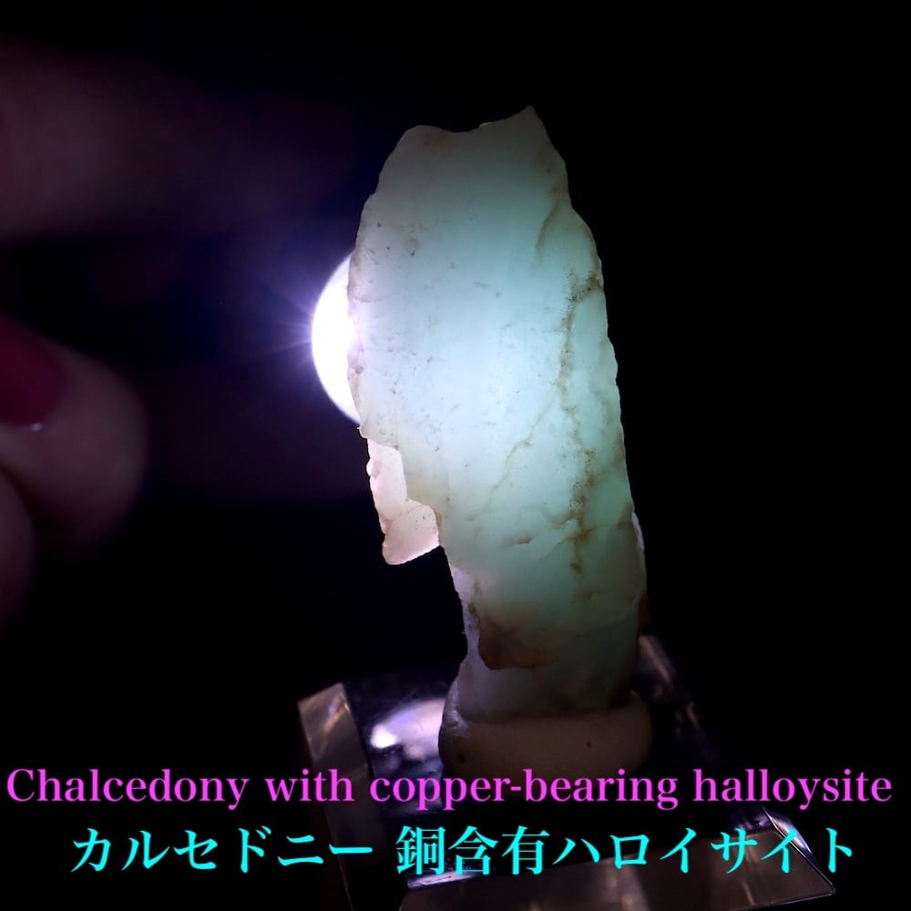 リムキャスト 珪化木 ピンクカルセドニー 499g LM011 鉱物 天然石 原石 リムキャスト 珪化木 ピンクカルセドニー 499g LM011 鉱物 天然石 原石