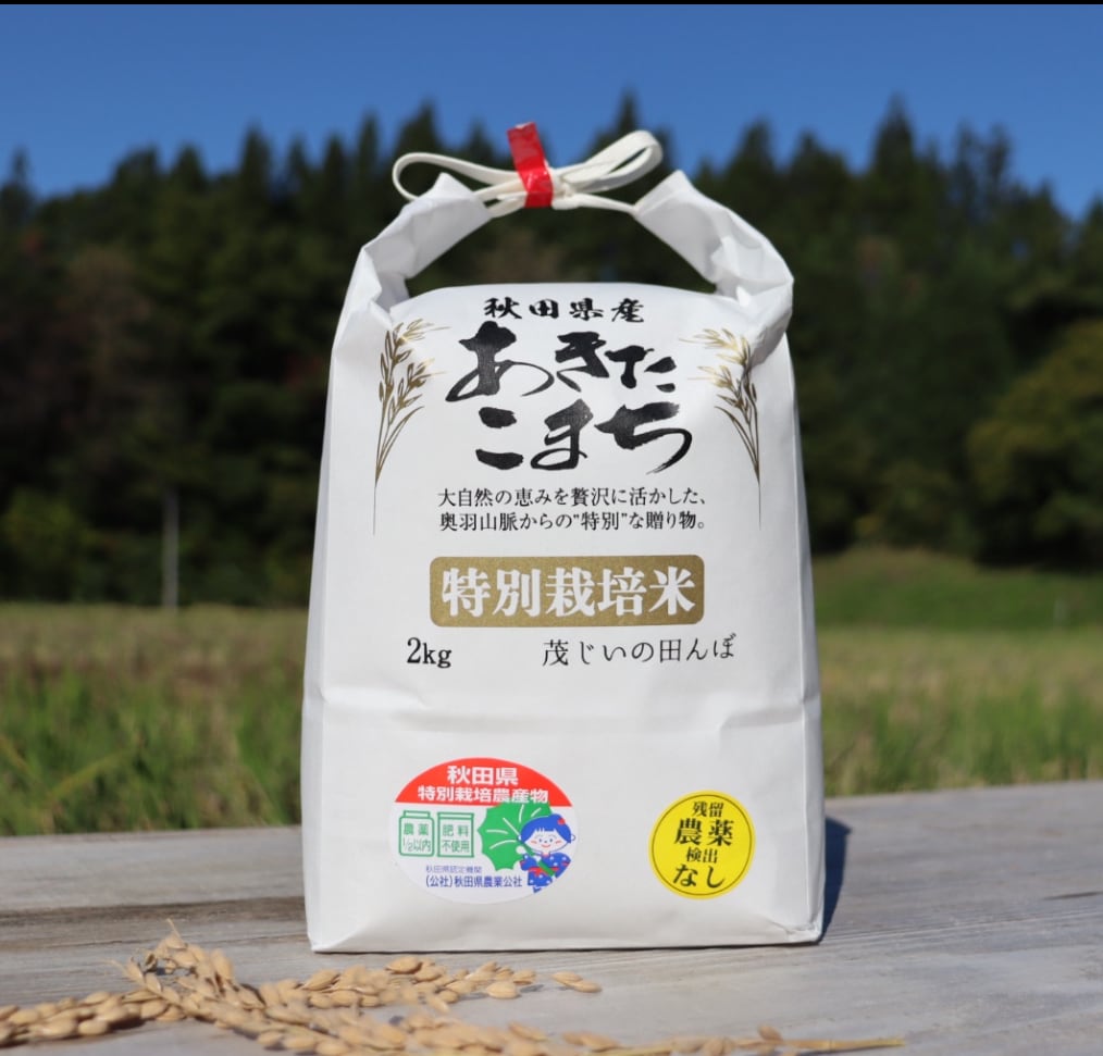 特別栽培米あきたこまち | 茂じいの田んぼ