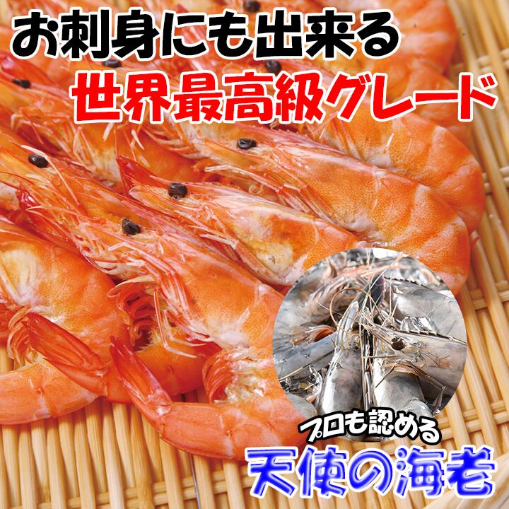 世界最高グレード 天使の海老 エフ エフ フィッシャーズ