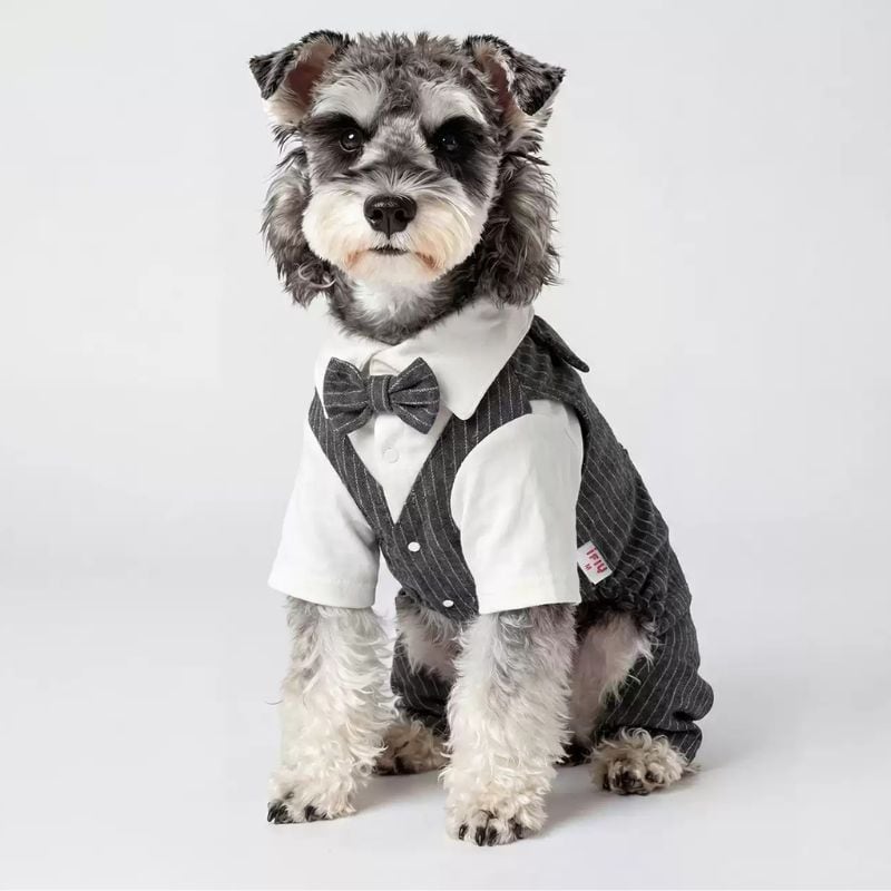 ストライプスーツのロンパース 犬服 01298