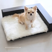 BUDDY BED BLACK