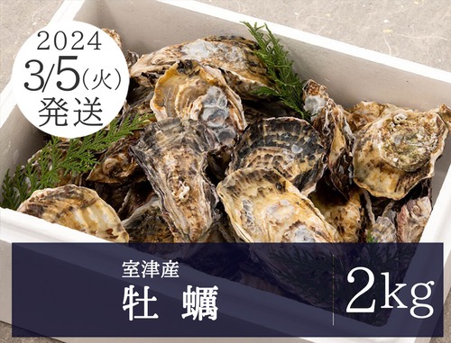 3月5日（火）発送【室津産】牡蠣 2kg