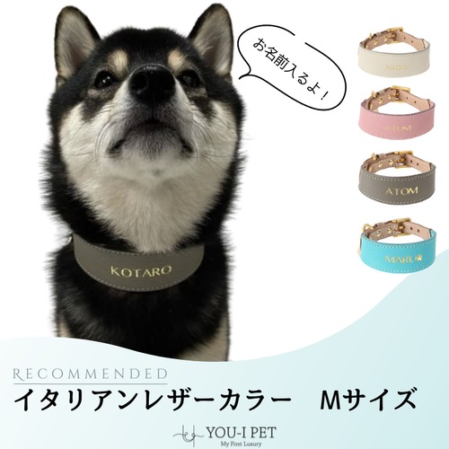 イタリアンレザーカラー　Mサイズ