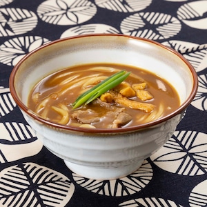 10食 讃岐カレーうどん 300g 【30220049】