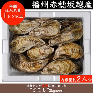 【送料無料】漁港直送! ”さこし2kg(真牡蠣)” 播州赤穂坂越産(生食用/殻付き)