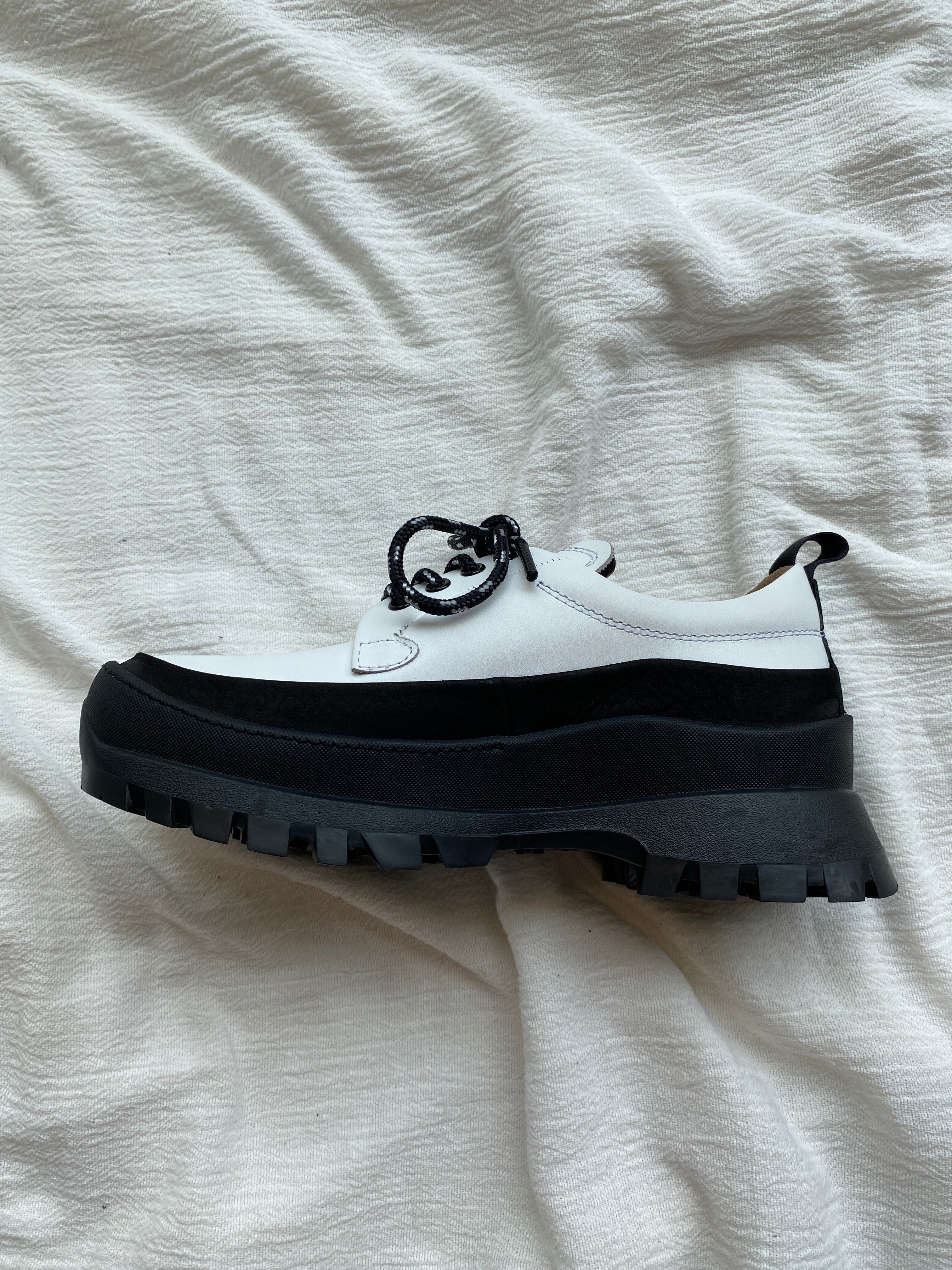 EARLE / Shoe sneaker blucher / Multi / Women | ふぁいん