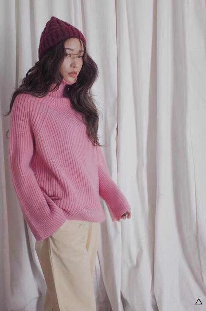 タートルネックリブニット