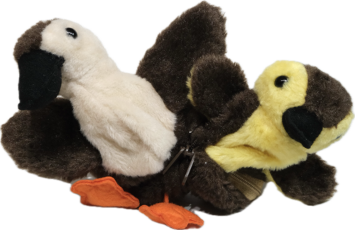 Old Stuffed Toy: 鳥の三態