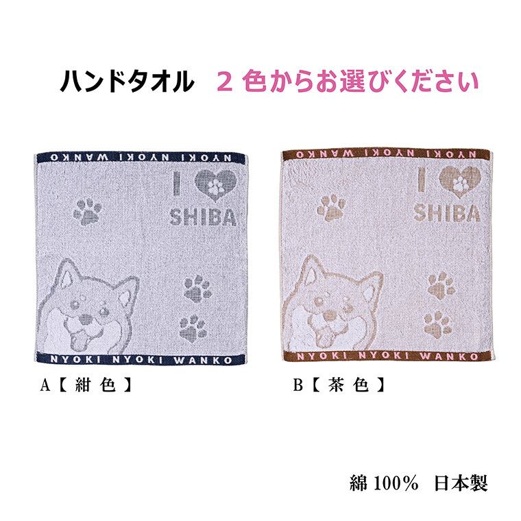 柴犬タオルギフトBOX フェイスタオル ハンドタオル 2枚組 | まいわん