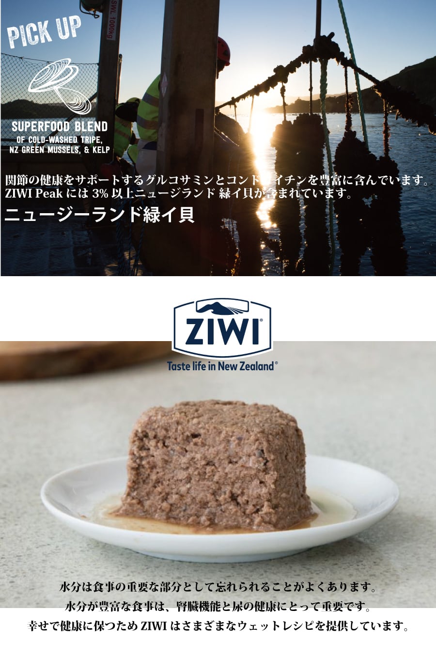 ZIWI Peak ジウィピーク ドッグ缶 ラムレシピ170g 12缶セット 12缶セット】ZIWI Peak (ジウィ ピーク) ドッグ缶 ラム 170g×12缶｜全