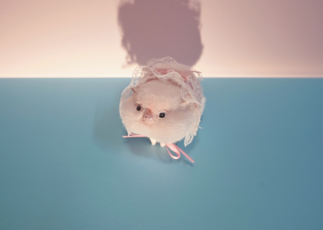 ピッグ