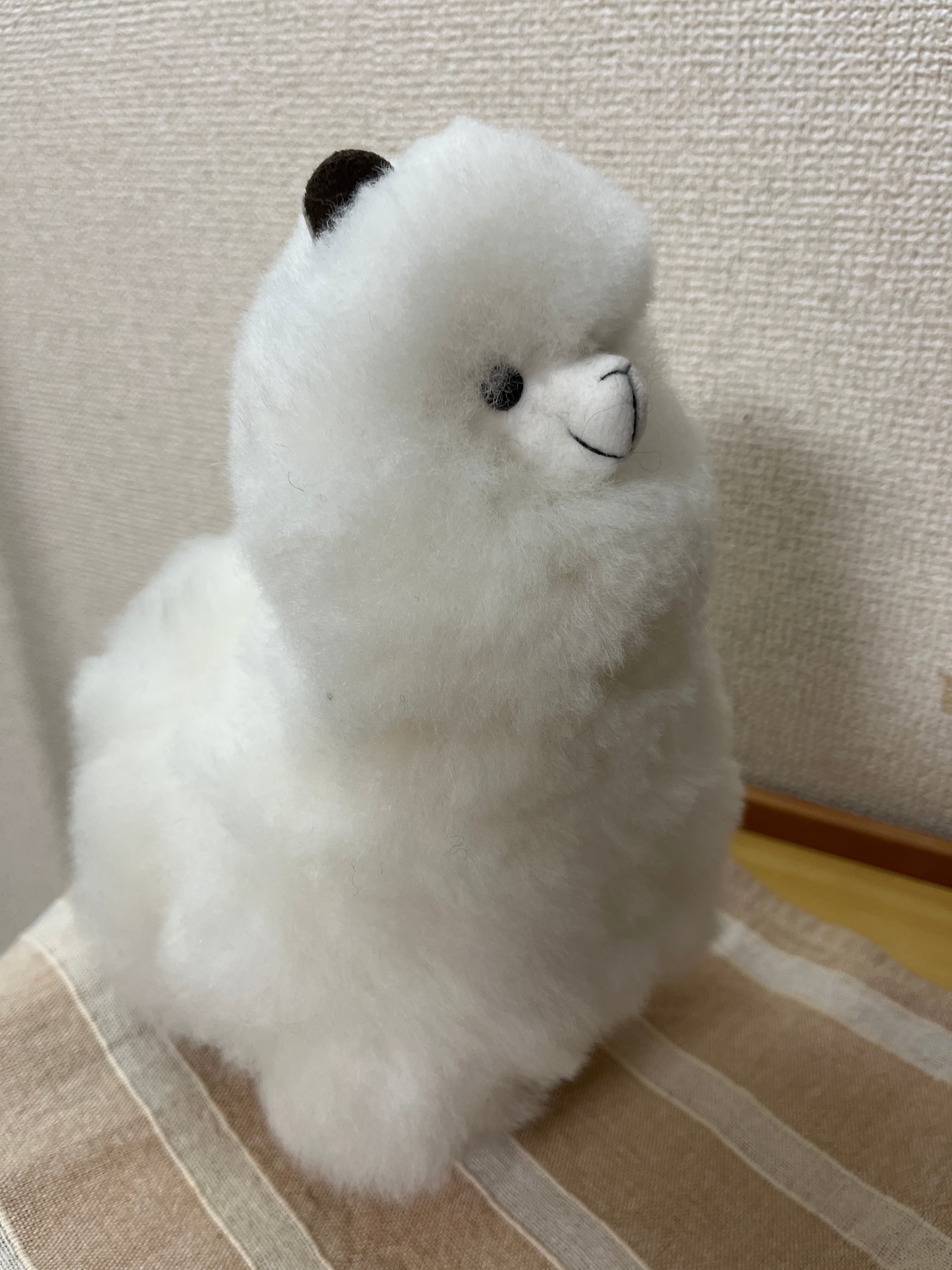 アルパカ　デディベア　ホワイト アルパカテディベアYaku | Alpaka