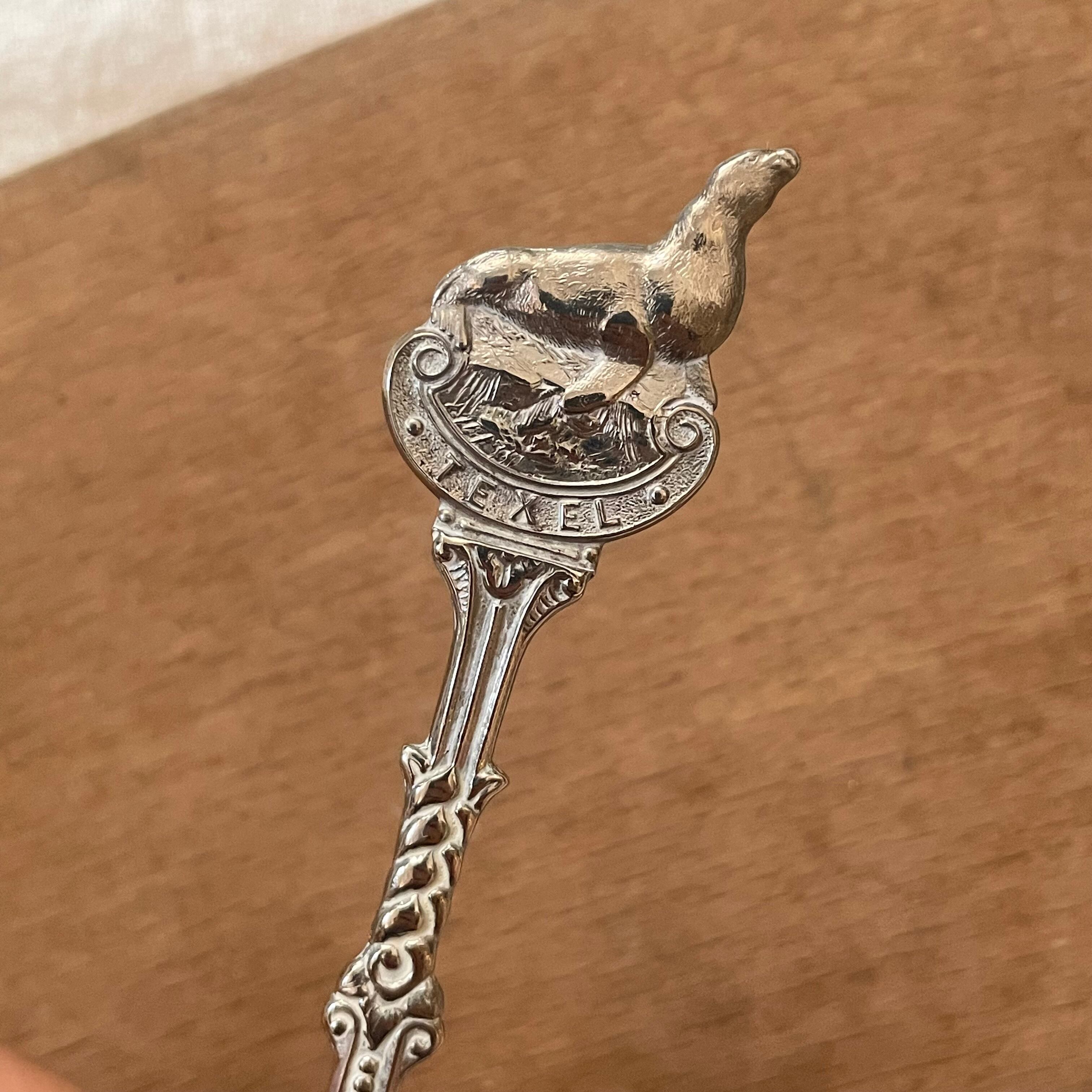 見上げるアザラシのティースプーン