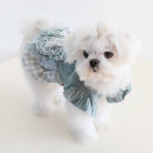 【PET】全2色春雰囲気フラワー付きワンピース