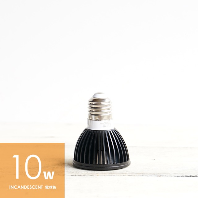 LEDライト 小型AS型 10W 電球色 ブラック