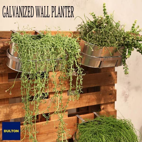 GALVANIZED WALL PLANTER DULTON ガルバナイズド ウォール プランター シンプル BOTANY ダルトン