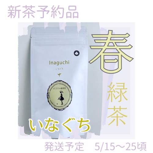 予約【2026新茶】はじまりの《いなぐち》春緑茶（いなぐち・リーフ５０g・水出し10）浅蒸し
