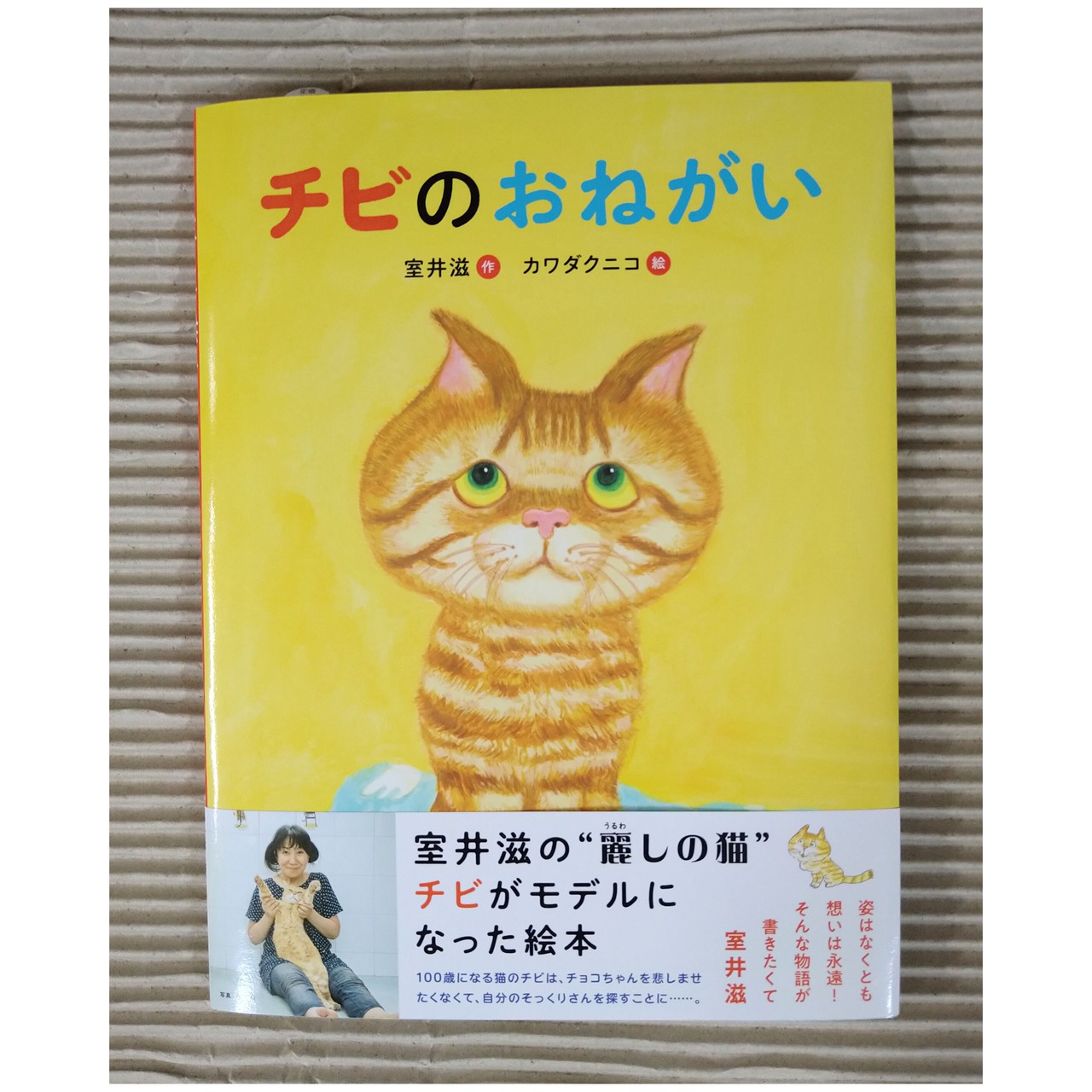 チビのおねがい (サイン本)