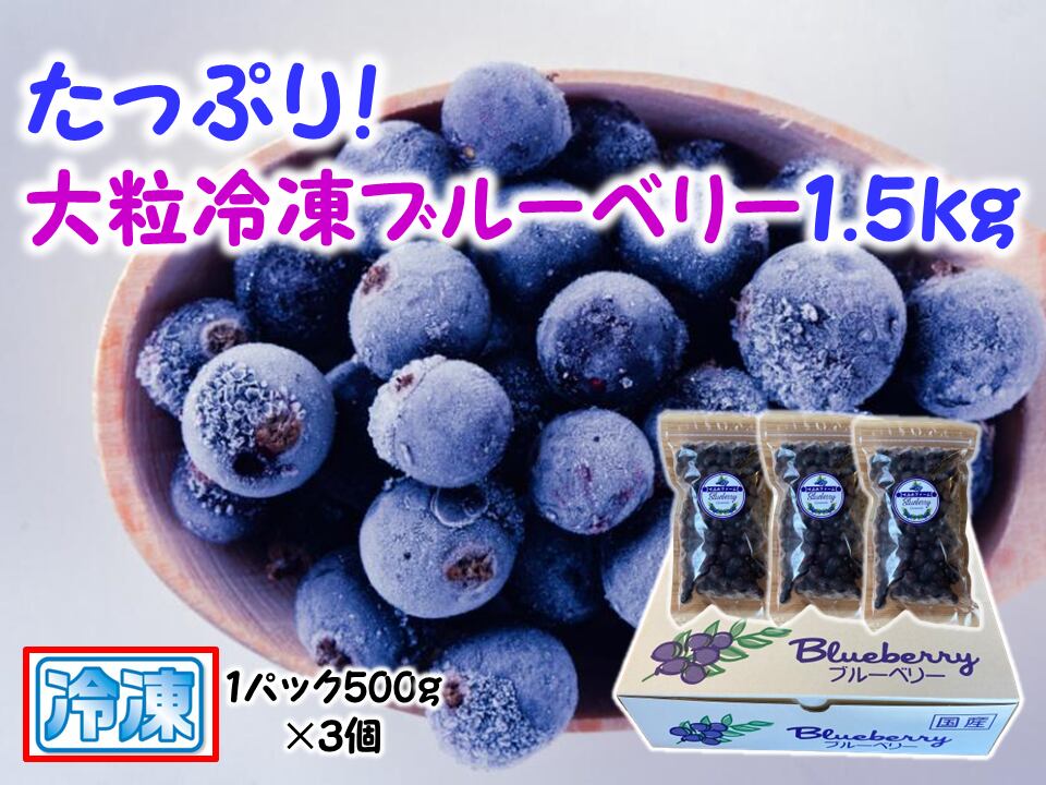 Ami様宛冷凍中粒ブルーベリー5kg Ami様宛冷凍中粒ブルーベリー5kg ブルーベリー 5kgの通販 【公式通販】
