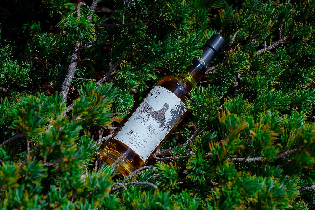 井川蒸溜所◼️Design Series○2025△700ml☆53％⭐1本箱入