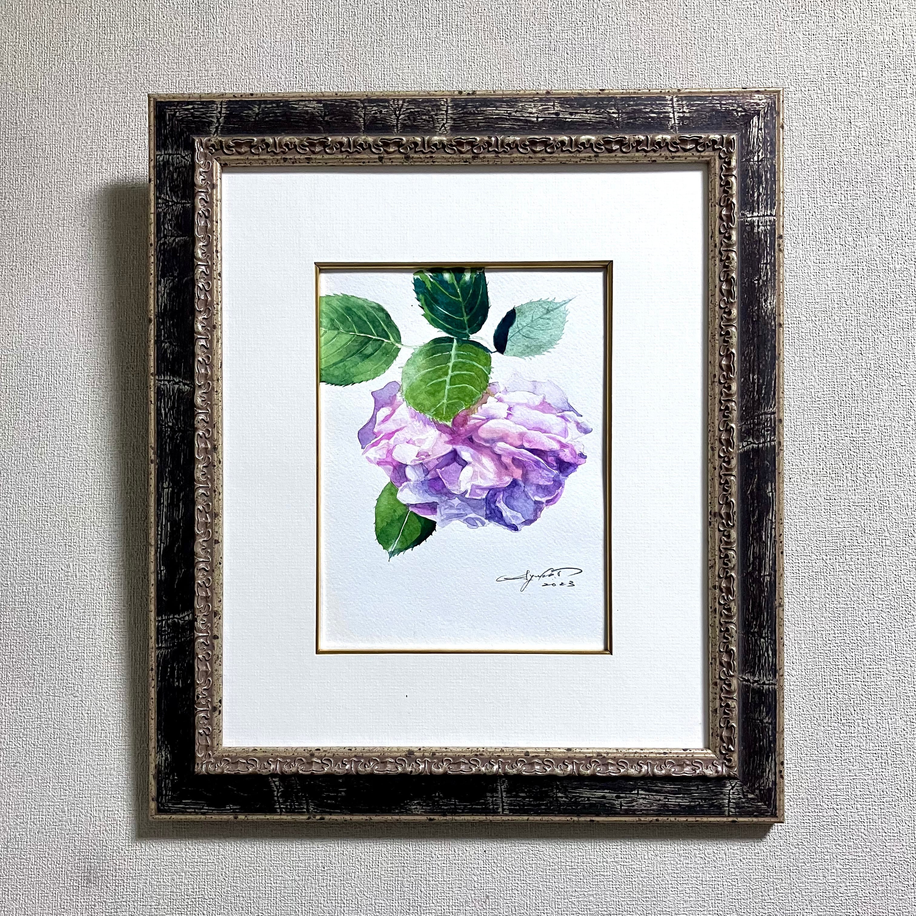 ピェール ド ロンサール 2023 | AYAKO TSUGE STUDIO