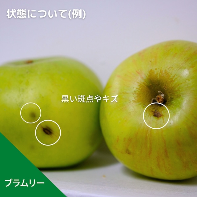 食べ比べが楽しいりんご８個セット（４種類）【発送日選択】（クール送料込）