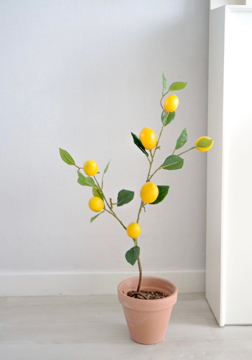 置物 remon 377f52ce6aaeb84c62c5616749e860