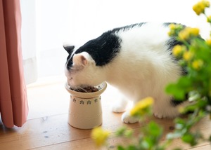 猫の食器台　オシャレな陶器の食器台　猫用品
