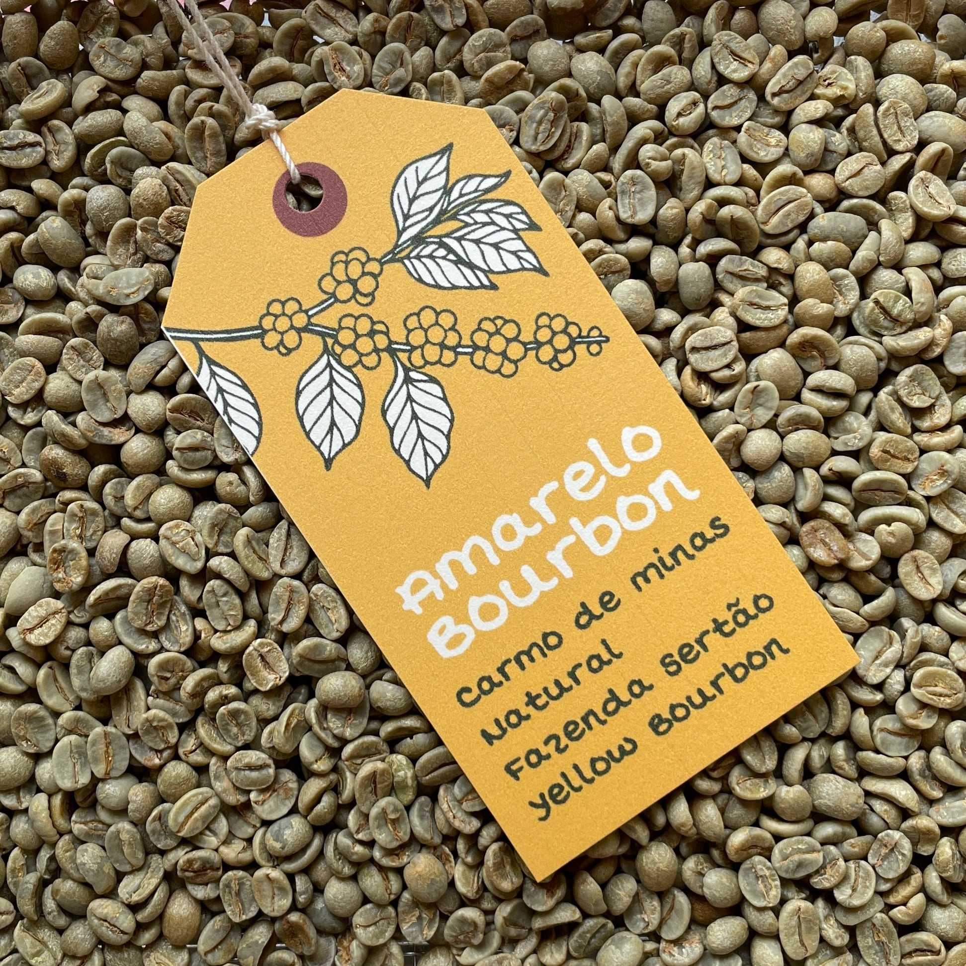 コーヒー生豆 ブラジル トミオフクダ 5kg コーヒー生豆 ブラジル