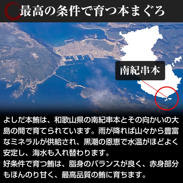 和歌山県 串本産 最高品質本マグロ よしだ本鮪の刺身 (赤身トロ混合)  200g 【ギフト対応可】