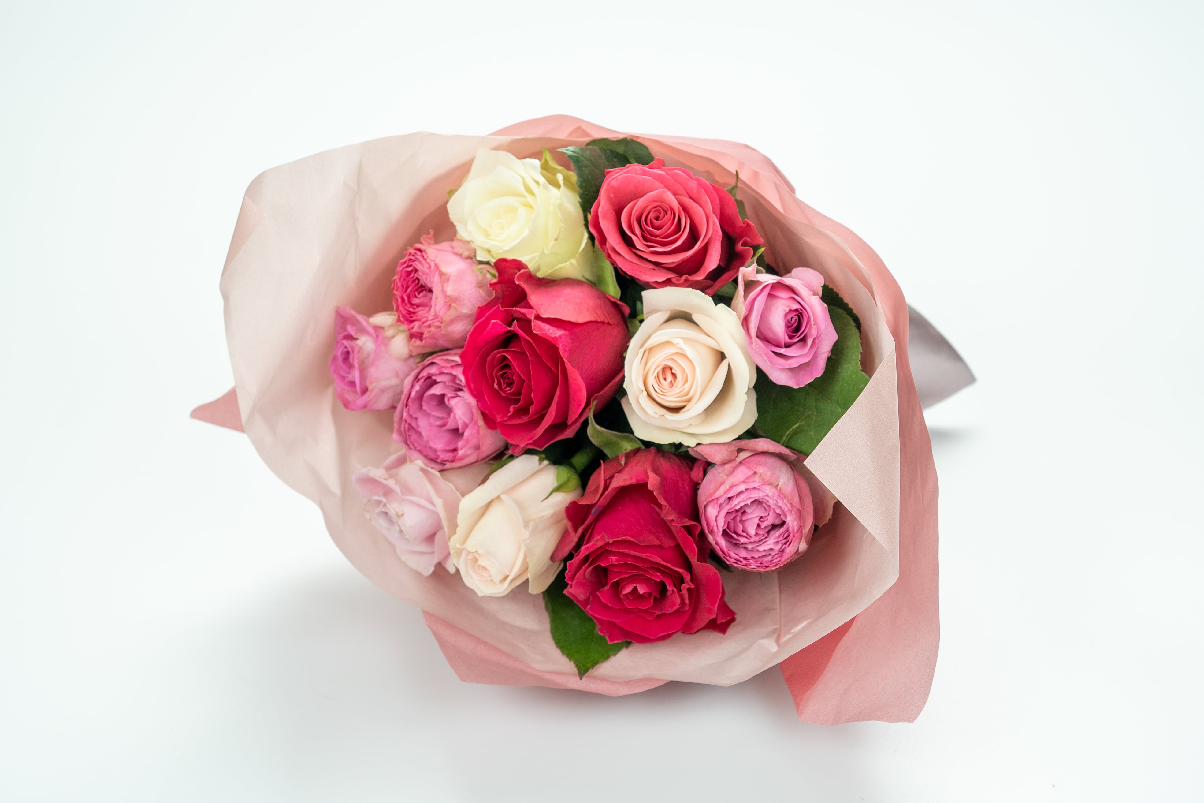 THANKS DOZEN ROSE 1ダースの薔薇早割 | Noir Arts en /Tencasouca纏花装華